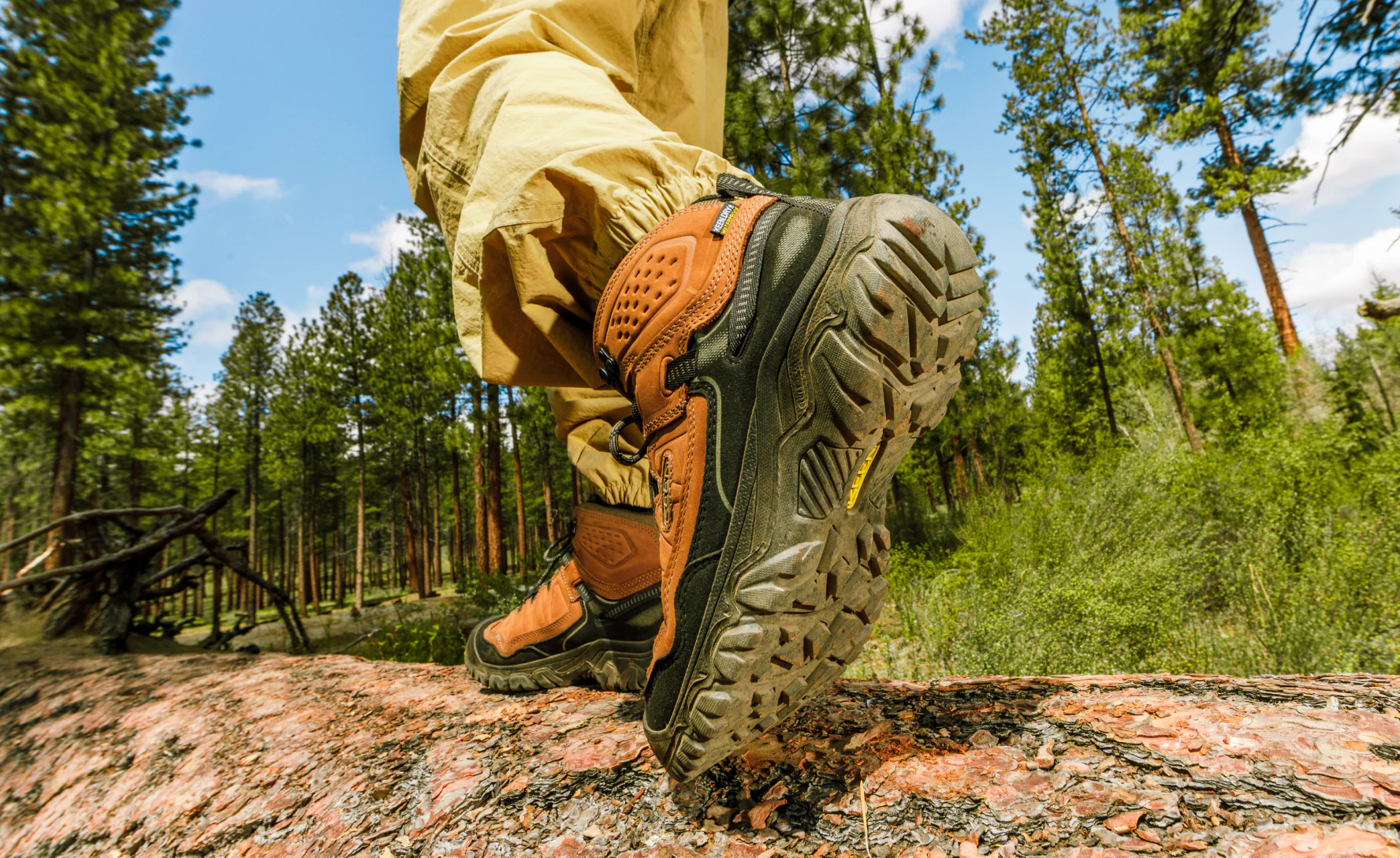 Men's Targhee IV Waterproof Hiking Boot | Triple Black - Image 7